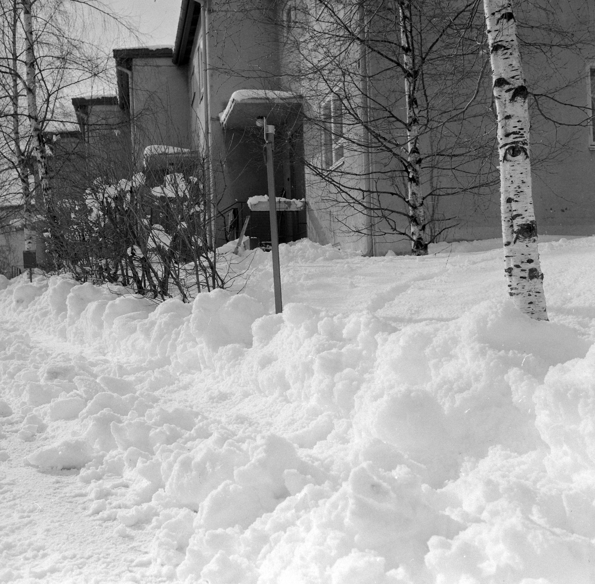 Adolf Skjegstad, ASK-03228