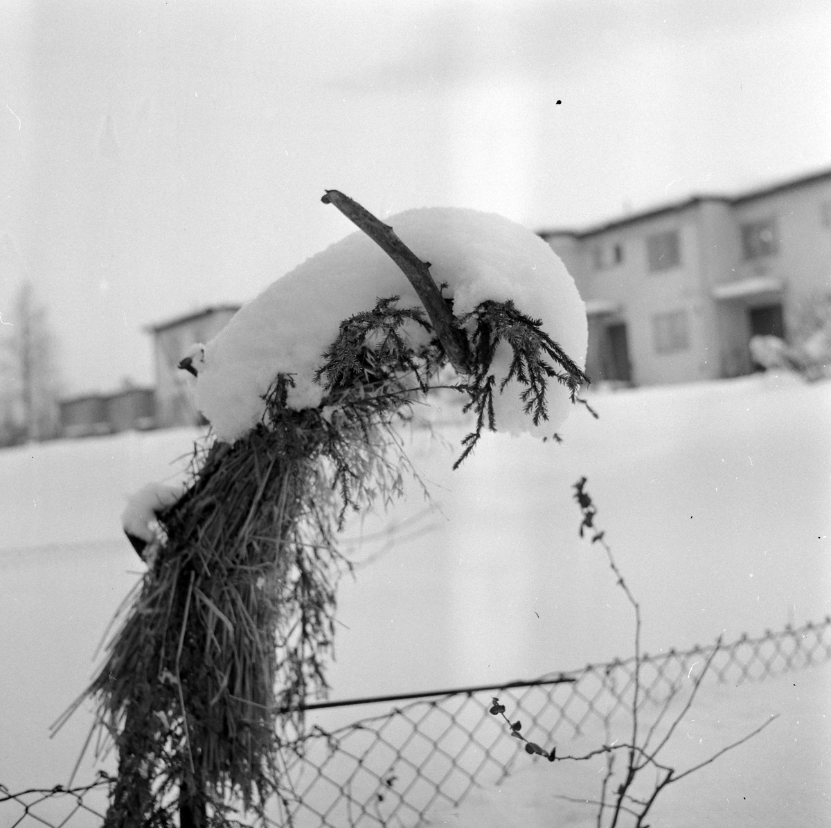 Adolf Skjegstad, ASK-03233