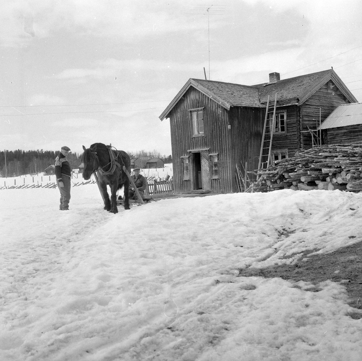 Adolf Skjegstad, ASK-03245