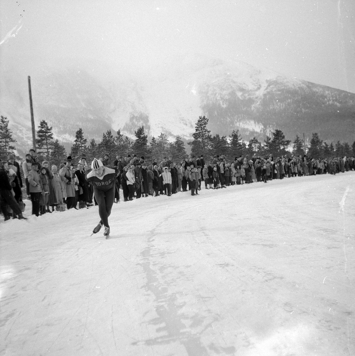 Adolf Skjegstad, ASK-03257
