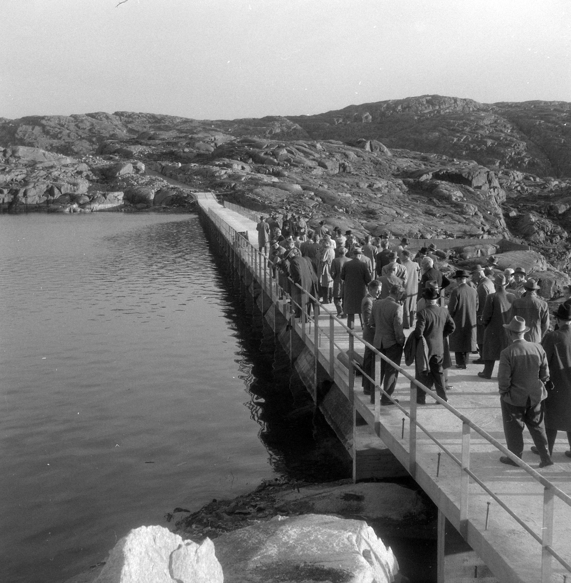 Adolf Skjegstad, ASK-03332