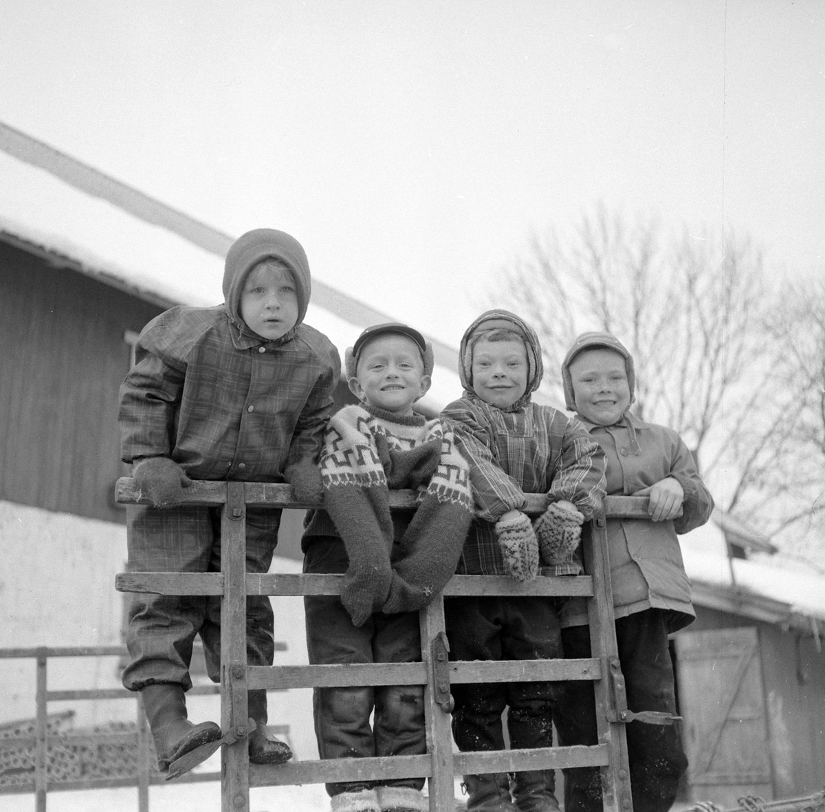 Adolf Skjegstad, ASK-03389
