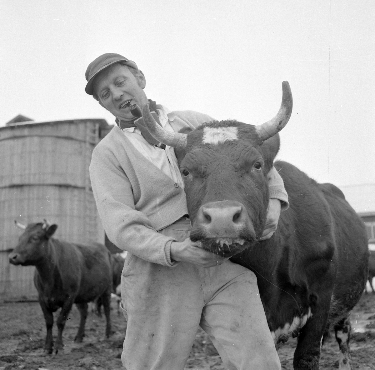 Adolf Skjegstad, ASK-03402
