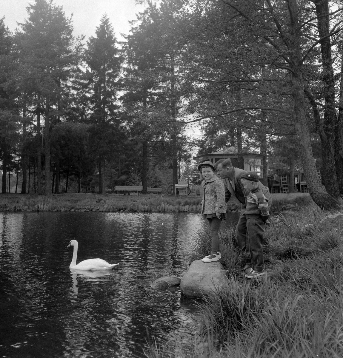 Adolf Skjegstad, ASK-03416