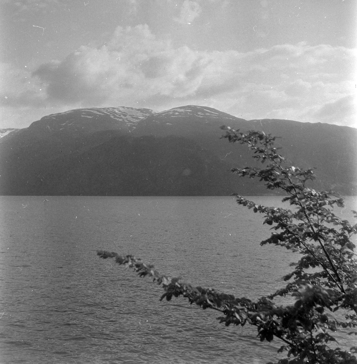 Adolf Skjegstad, ASK-03423