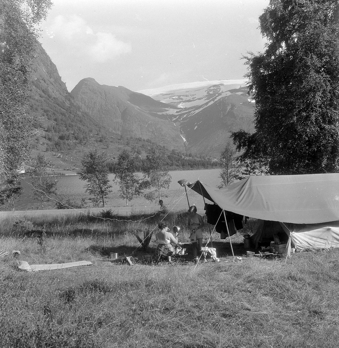Adolf Skjegstad, ASK-03435