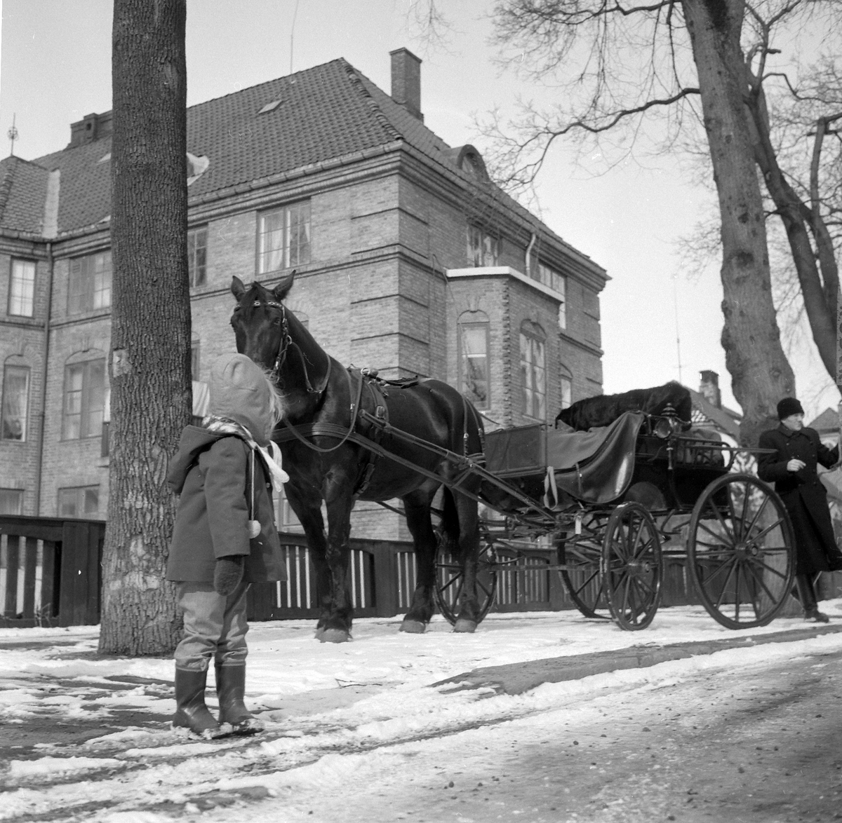 Adolf Skjegstad, ASK-03492