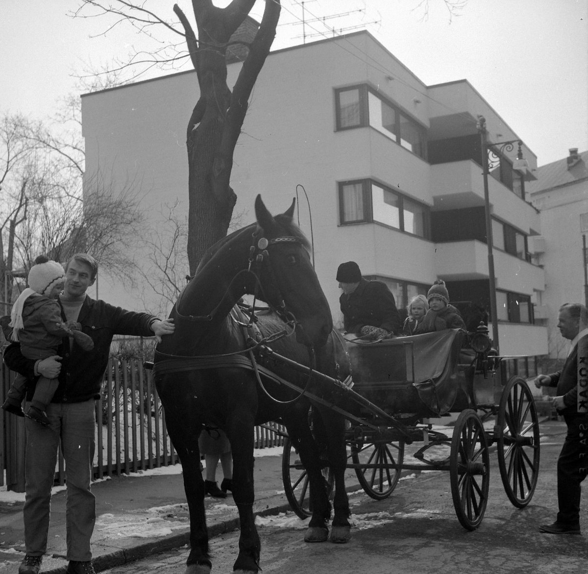 Adolf Skjegstad, ASK-03494