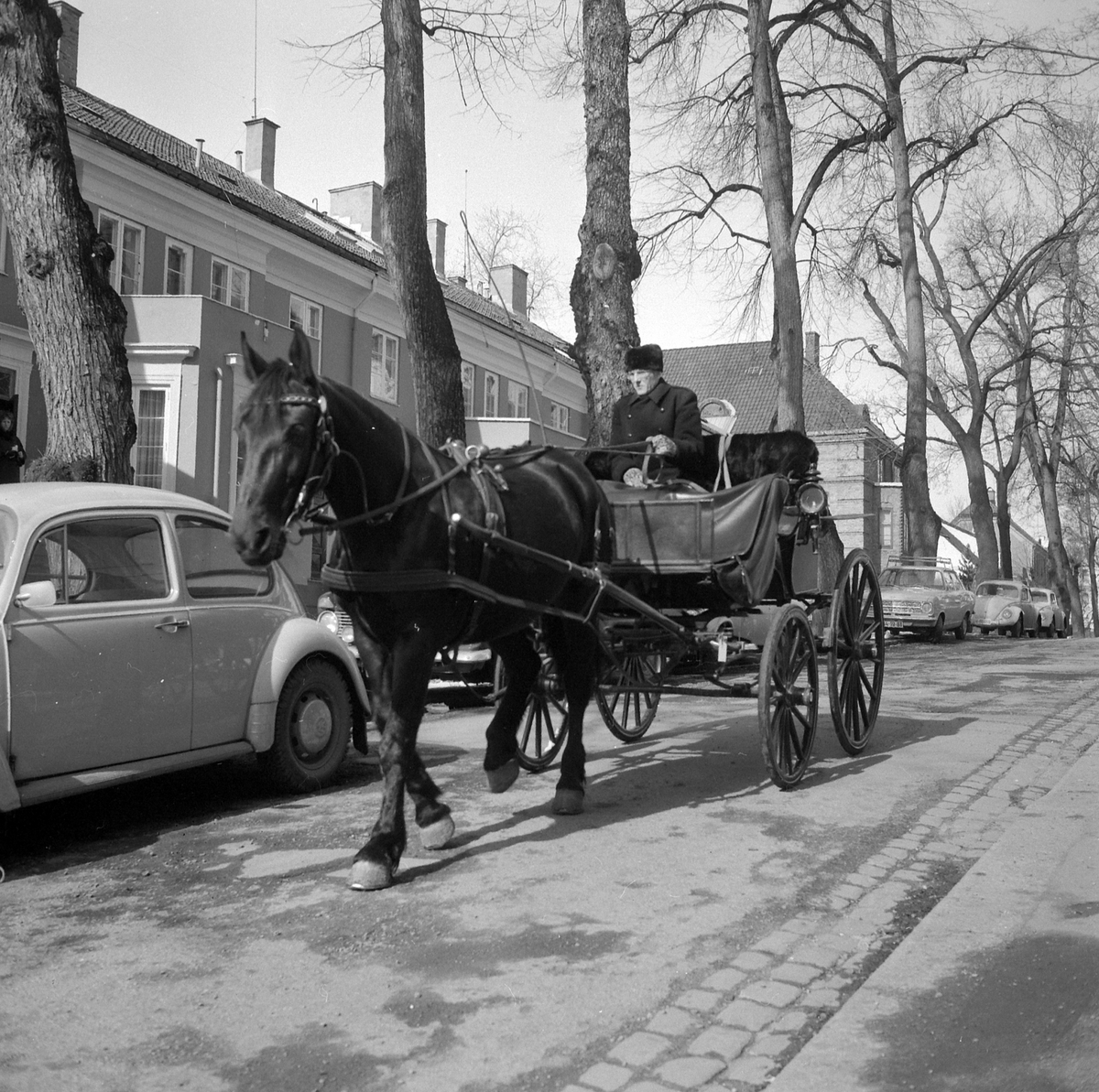 Adolf Skjegstad, ASK-03501