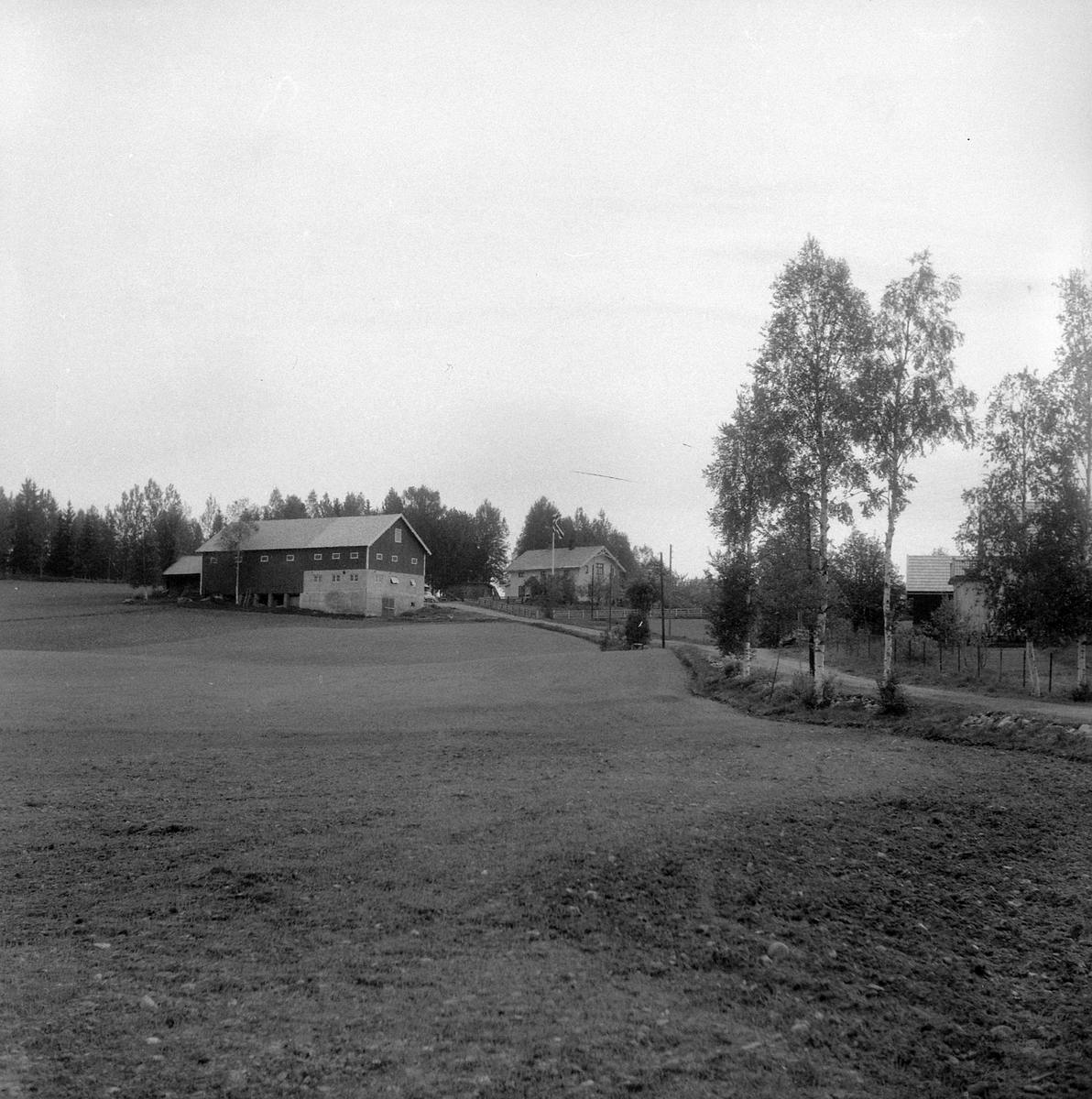 Adolf Skjegstad, ASK-03539