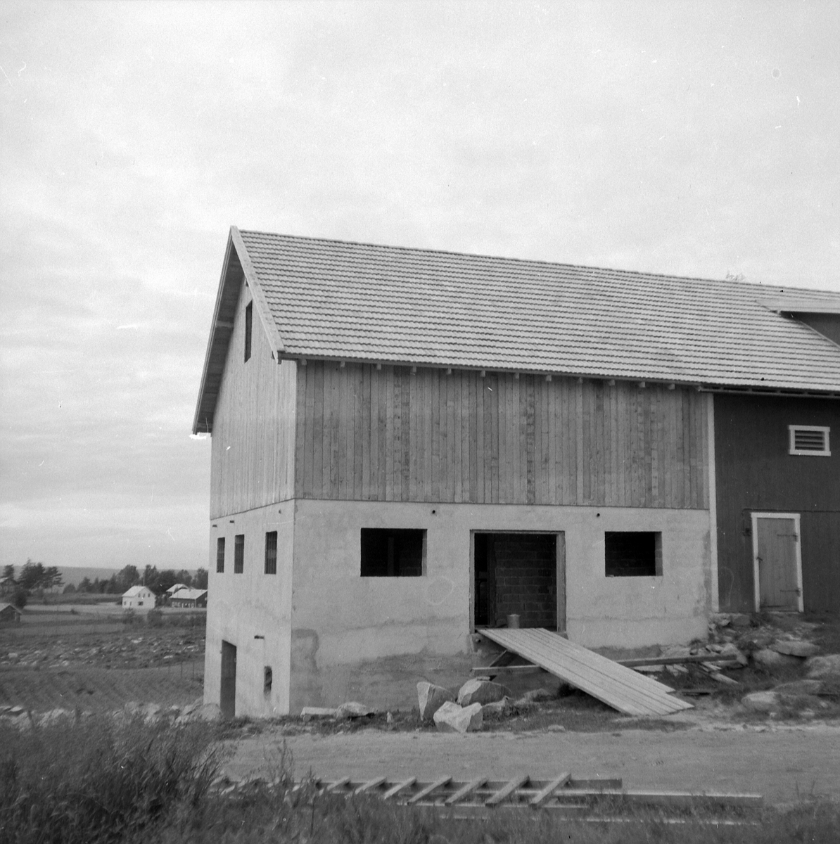 Adolf Skjegstad, ASK-03542