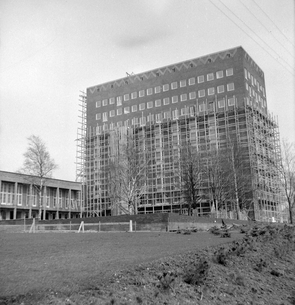 Adolf Skjegstad, ASK-03581