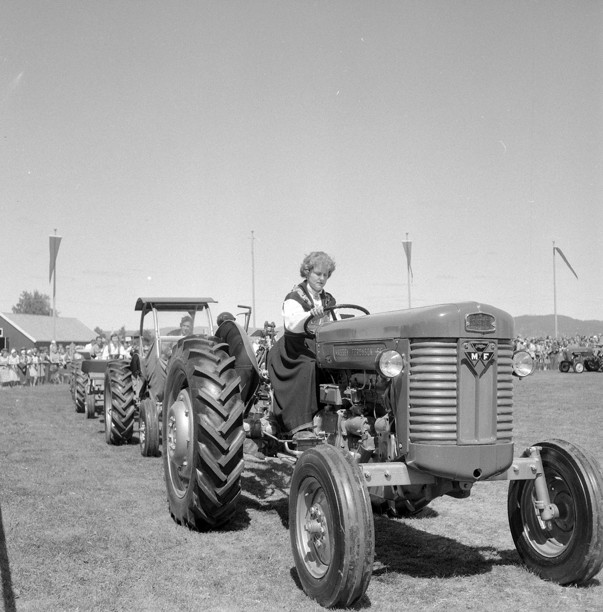 Adolf Skjegstad, ASK-03586