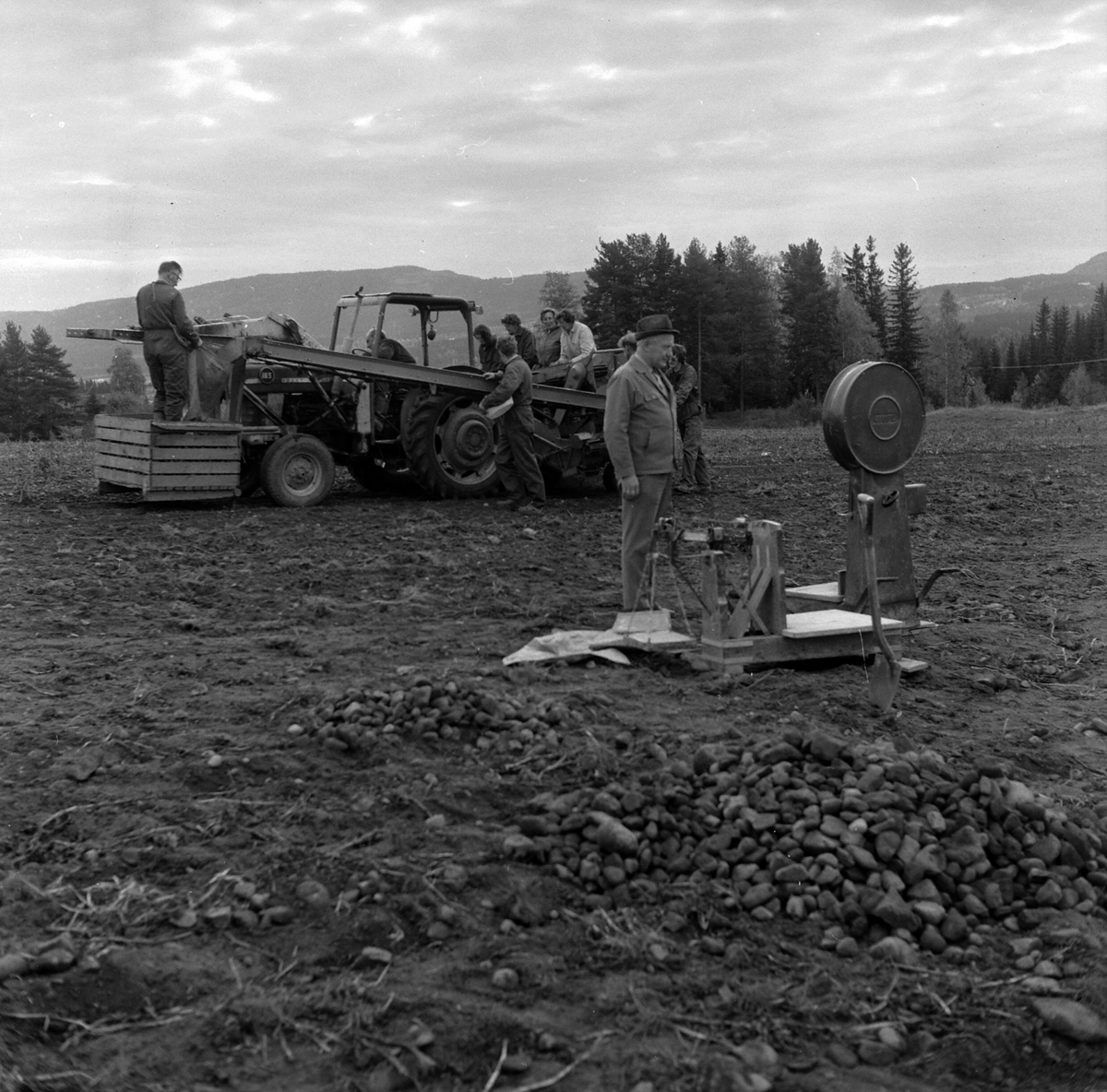Adolf Skjegstad, ASK-03667