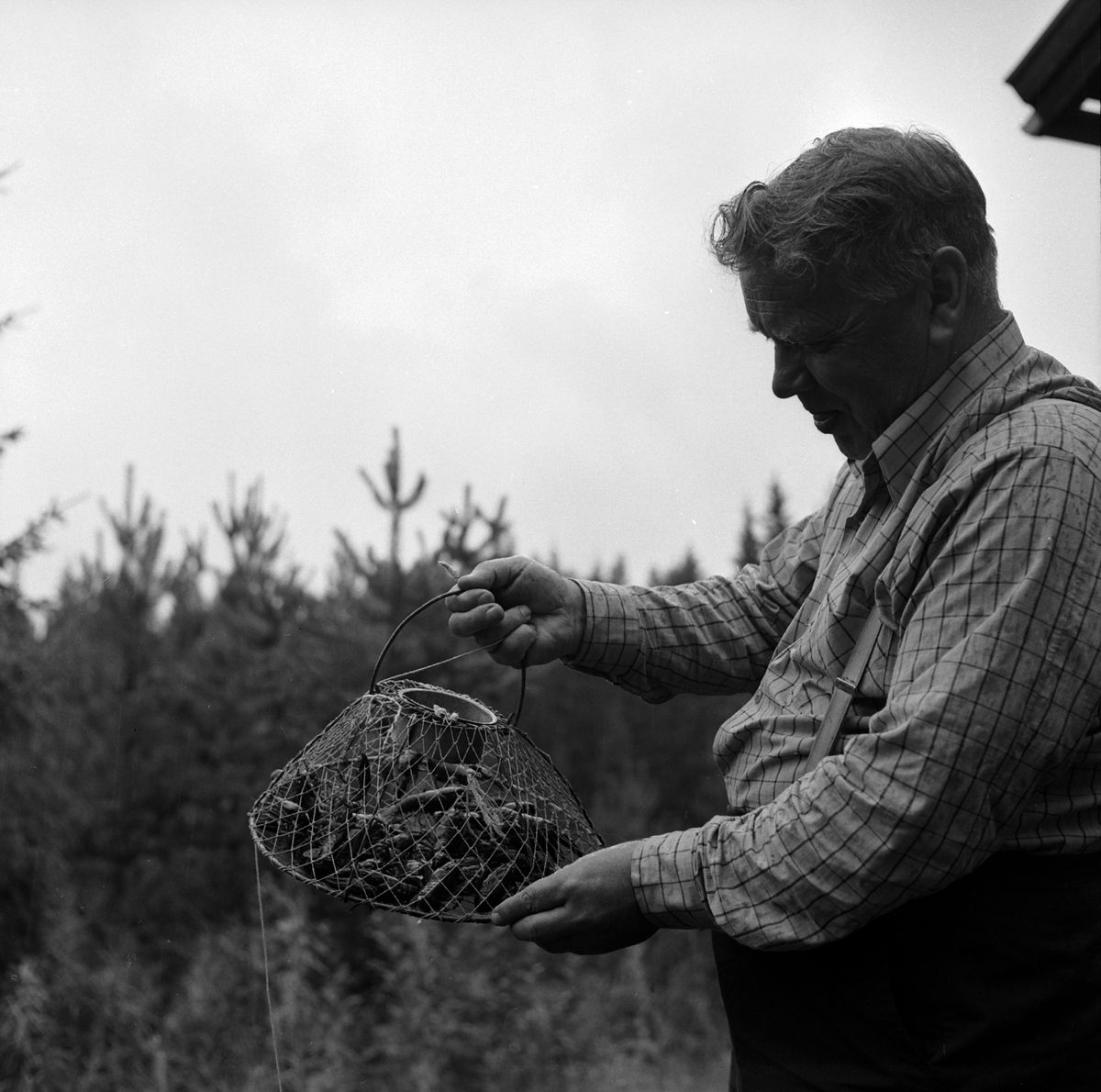 Adolf Skjegstad, ASK-03873