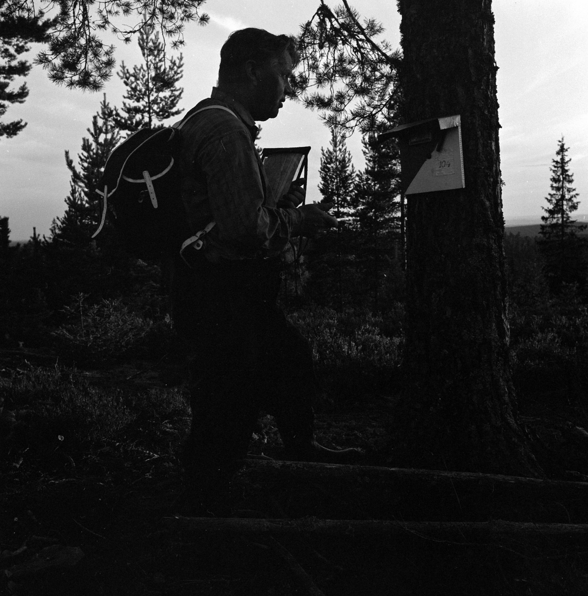 Adolf Skjegstad, ASK-03884