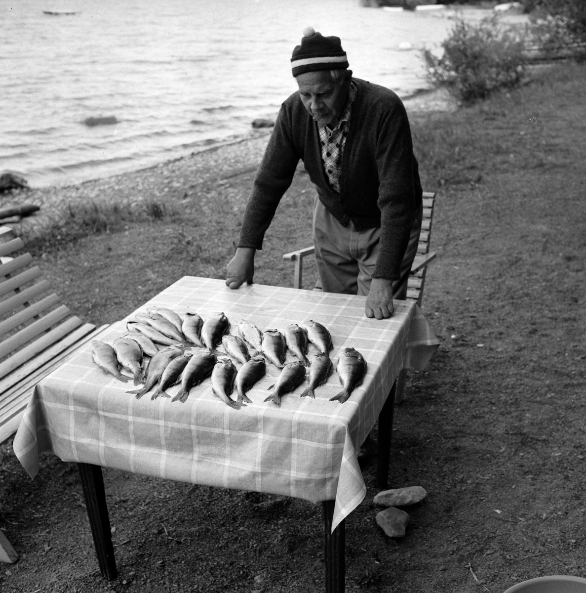 Adolf Skjegstad, ASK-04076