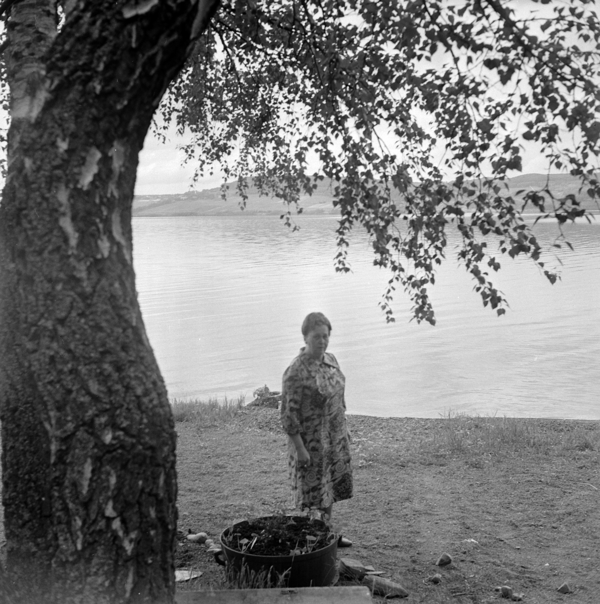Adolf Skjegstad, ASK-04117