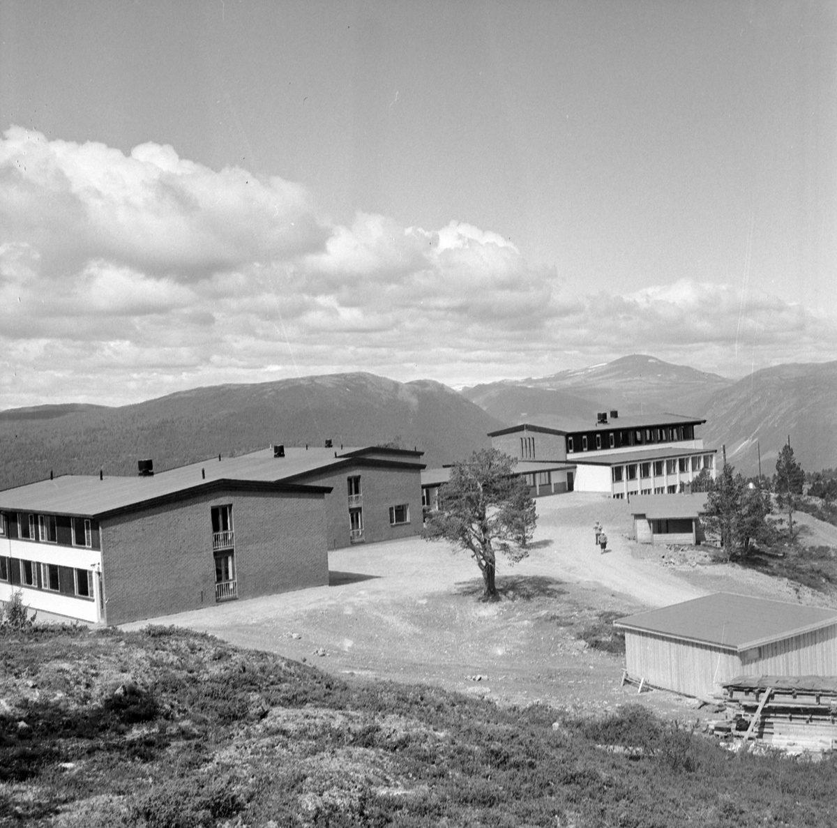 Adolf Skjegstad, ASK-04188