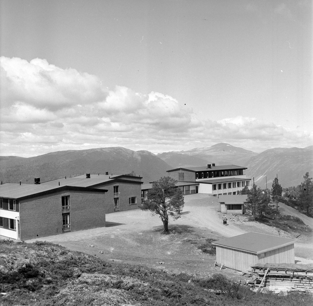 Adolf Skjegstad, ASK-04189