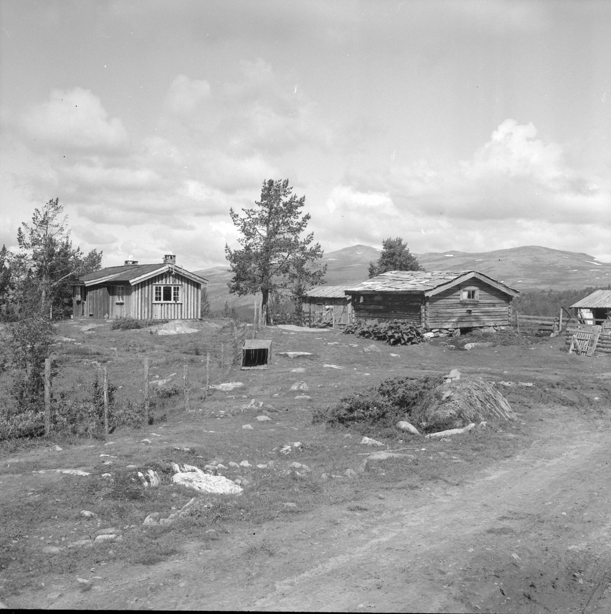 Adolf Skjegstad, ASK-04209