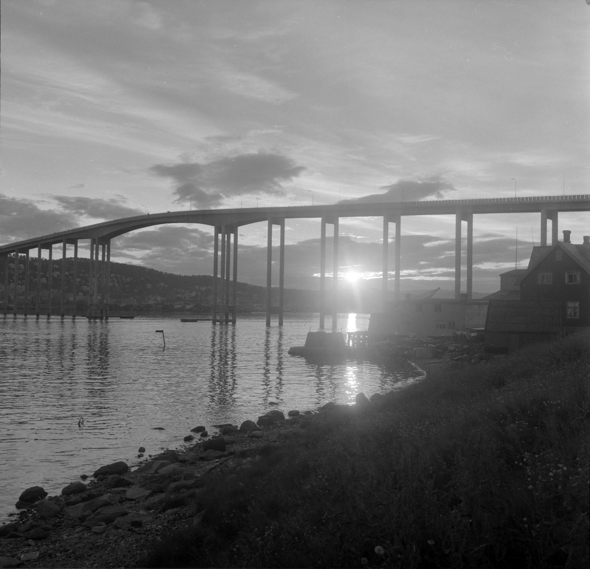 Adolf Skjegstad, ASK-04248