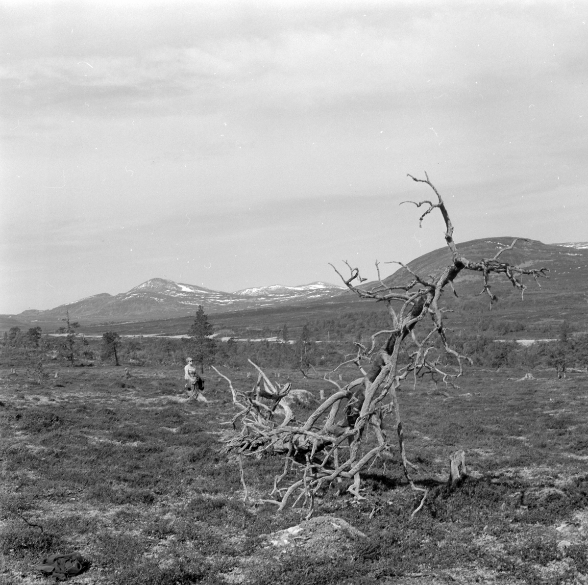 Adolf Skjegstad, ASK-04306