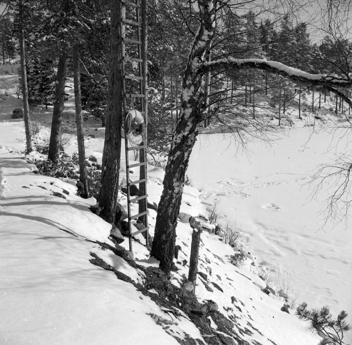 Adolf Skjegstad, ASK-04311