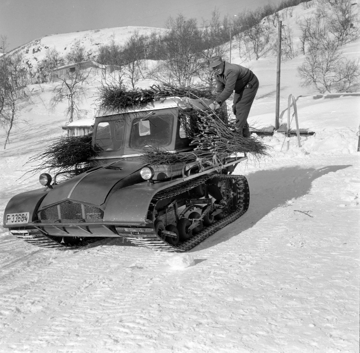 Adolf Skjegstad, ASK-04378