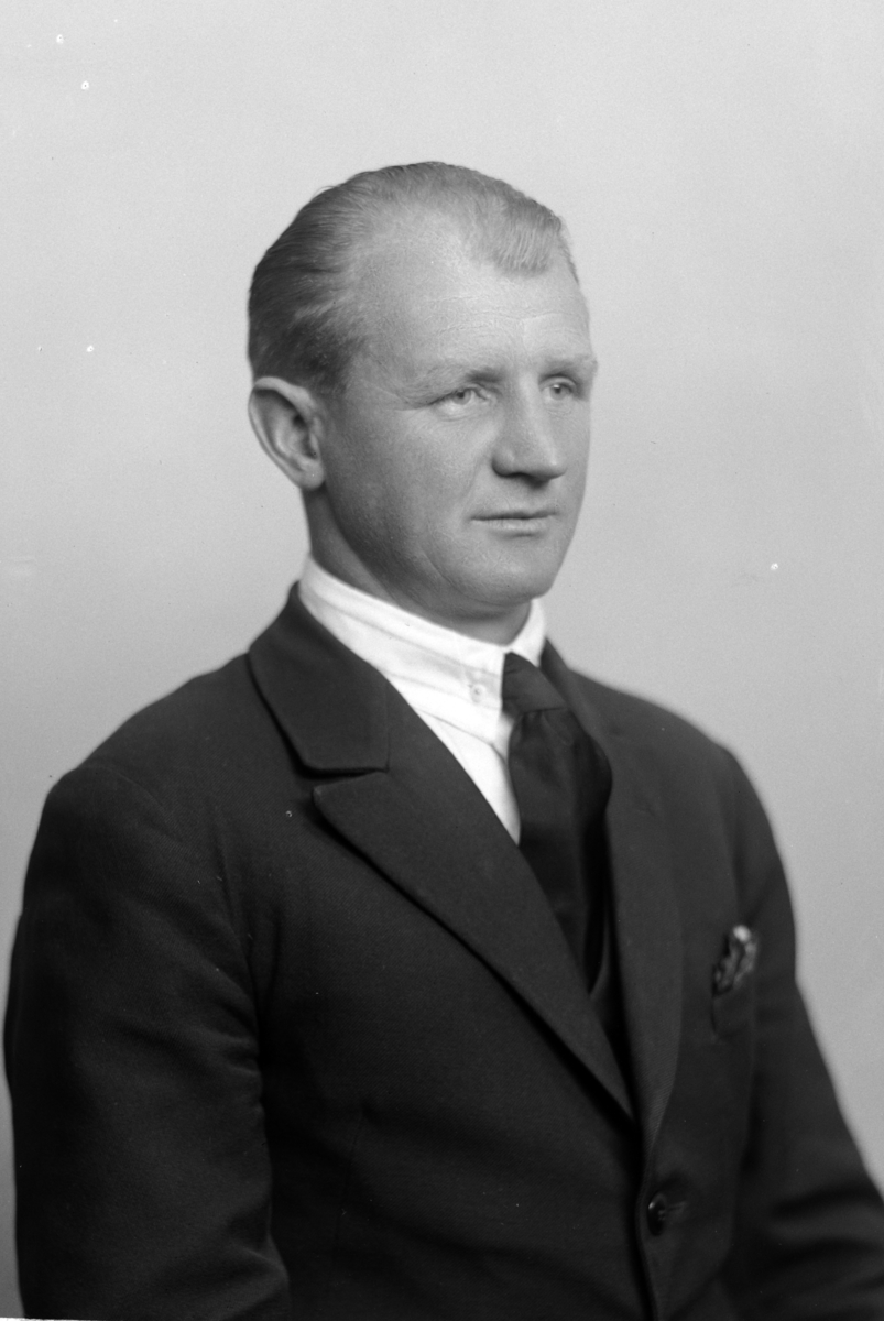 Christian Grundseth, JOHANSEN BERT, HALVFIG. , 33243