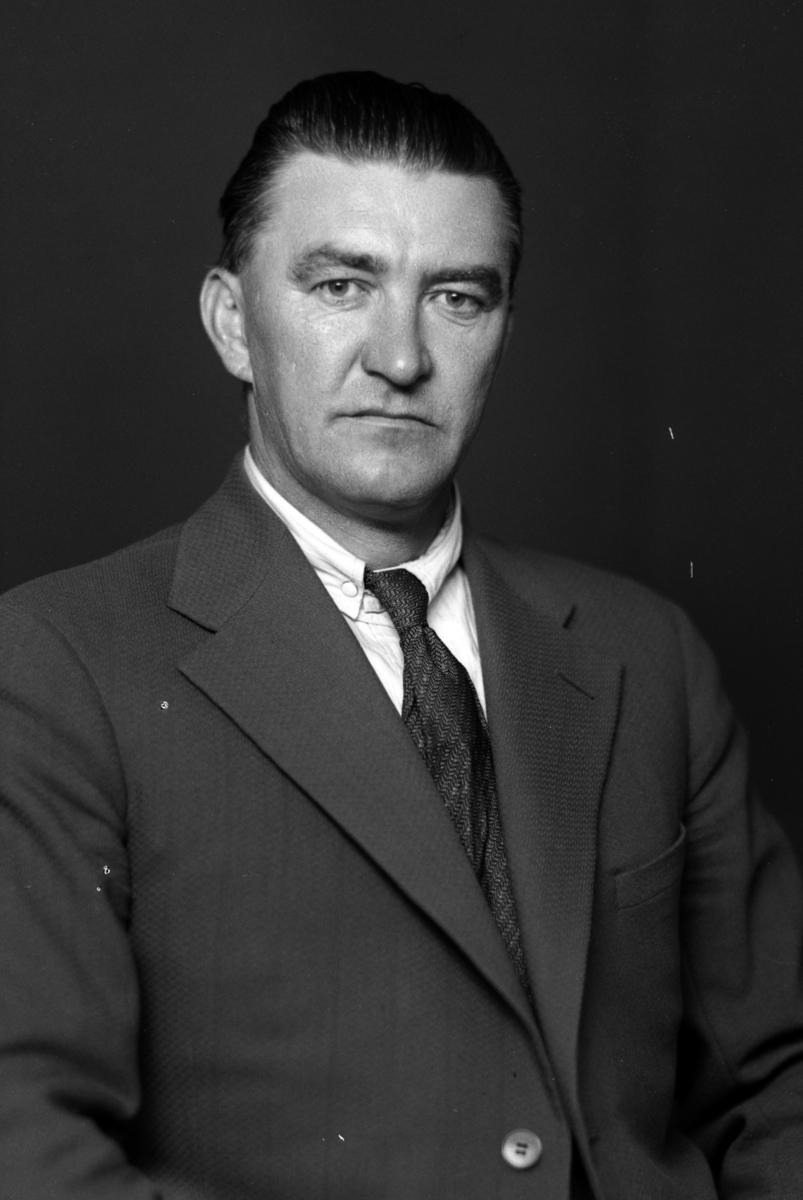 Christian Grundseth, JOHANSEN KJØPMANN, VESTBYEN, HALVFIG. , 37174