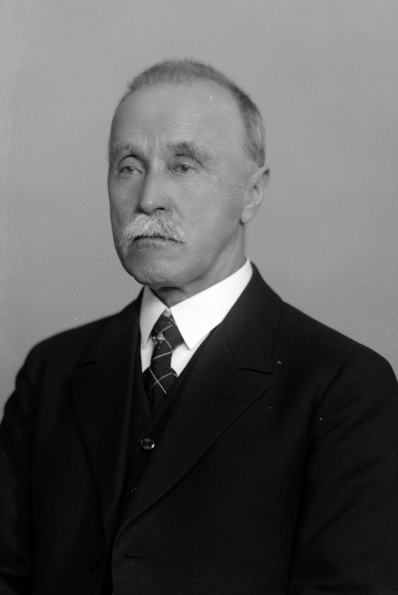 Christian Grundseth, MOSTUE HAAKON, TANGEN, HALVFIG. , 36229