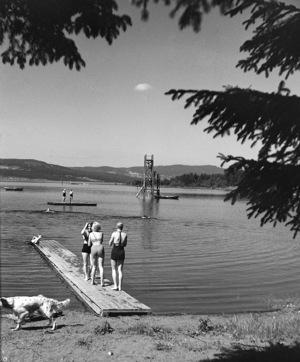 Toralv Bleken-Nilssen, Rosenlundvika, badeliv, stupetårn,brygge, sommer, båter. HDH. 103
