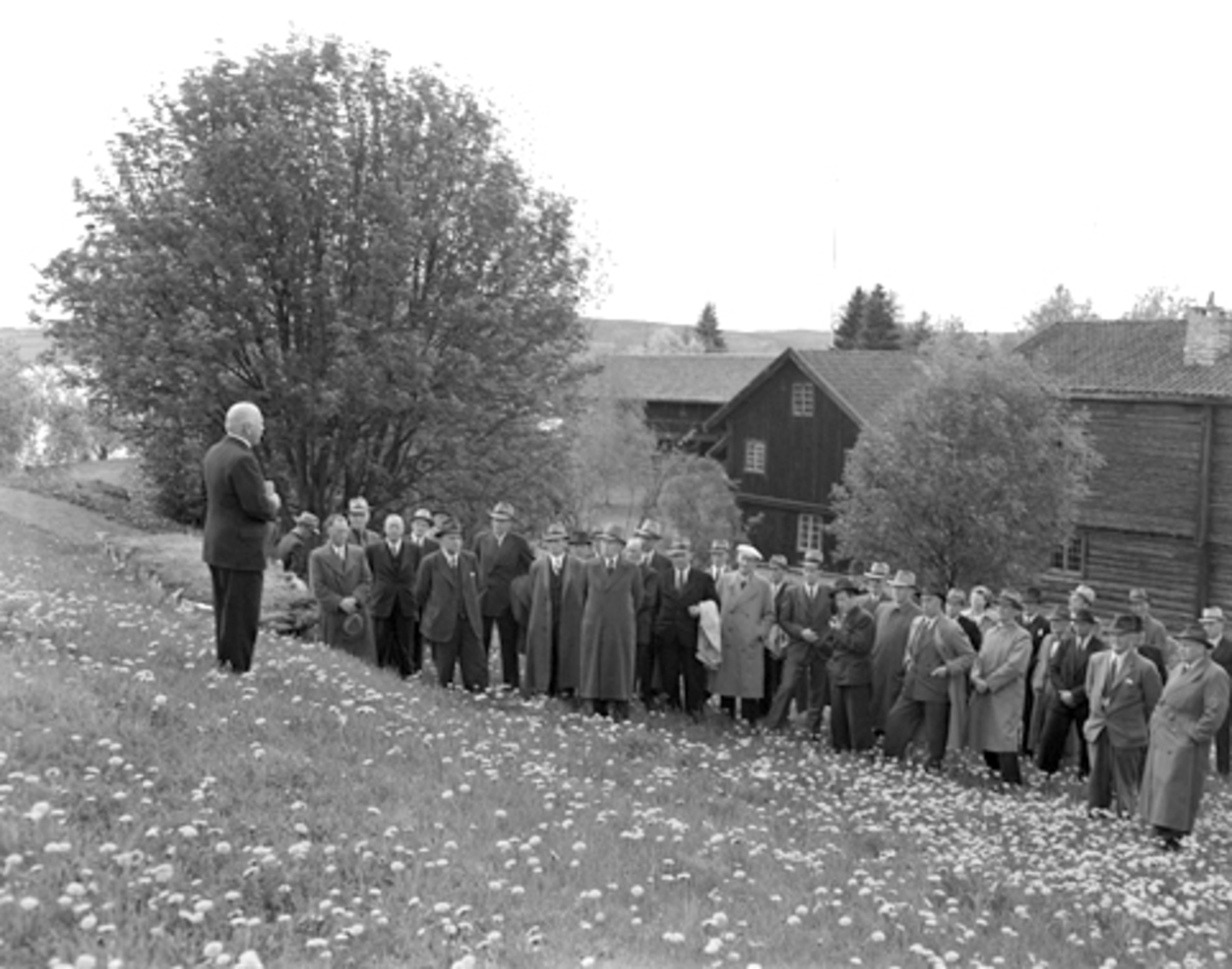 Anno Domkirkeodden, DOK-01169