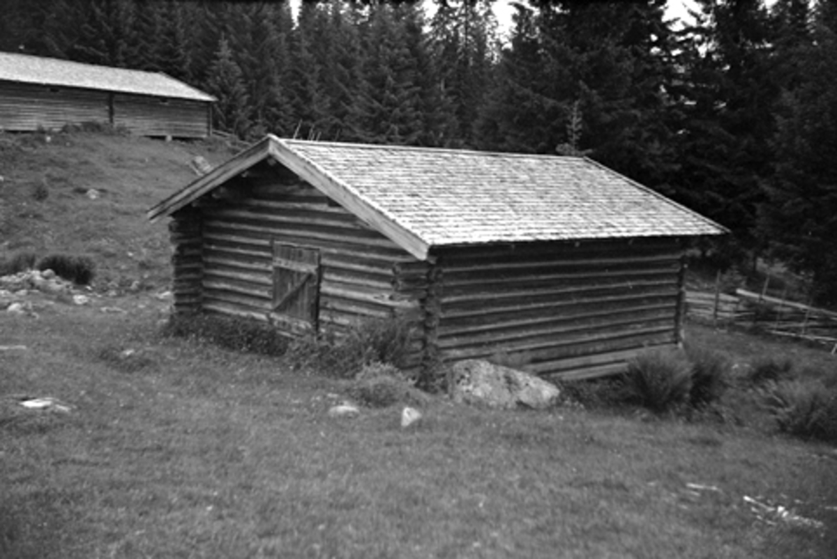 Toralv Bleken-Nilssen, TRONSHATTEN, SETER, Romedal alm. Stange. LØE. TIDL. 605
