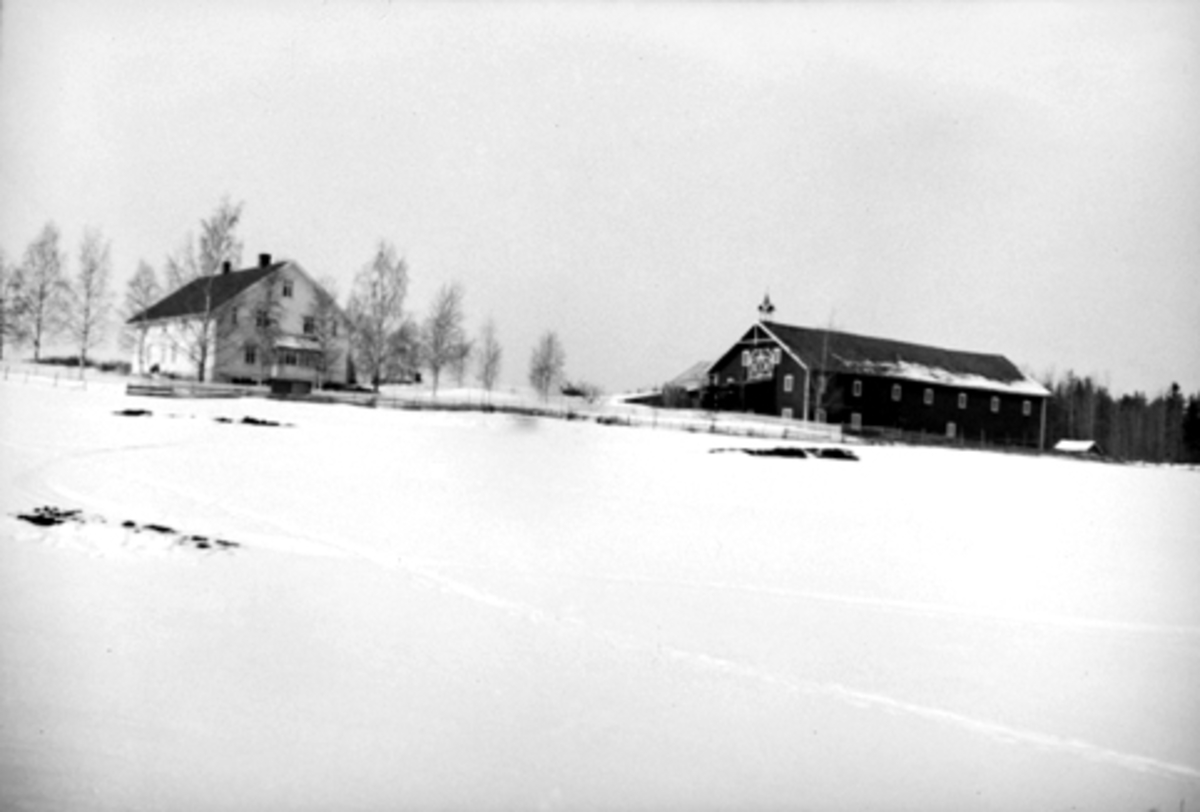 Toralv Bleken-Nilssen, TUN, GRINDÅKER, FURNES i Ringsaker, FB1. 513, GNR. 280-1
