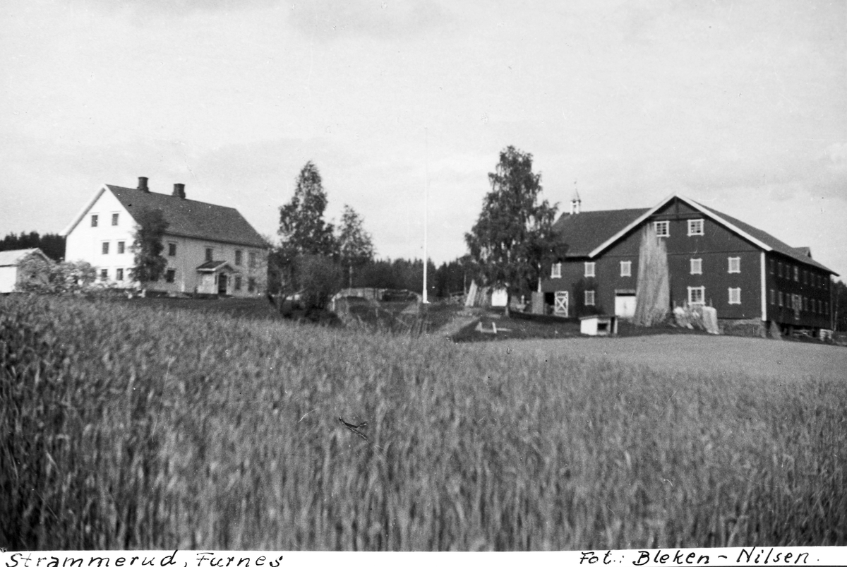 Anno Domkirkeodden, STRAMMERUD, FURNES, GNR. 298-1