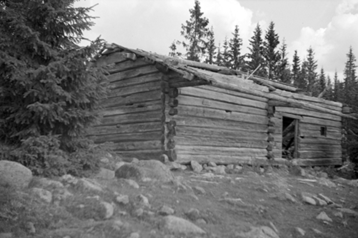 Toralv Bleken-Nilssen, TOMSETRA, GJERLUSTØRHUSET, RINGSAKER ALLM. 1946.