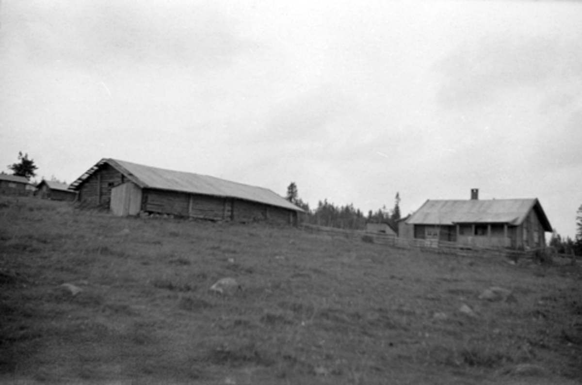 Toralv Bleken-Nilssen, BUDOR, NORDERHOVHUSA, LØTEN ALLM. 1946.