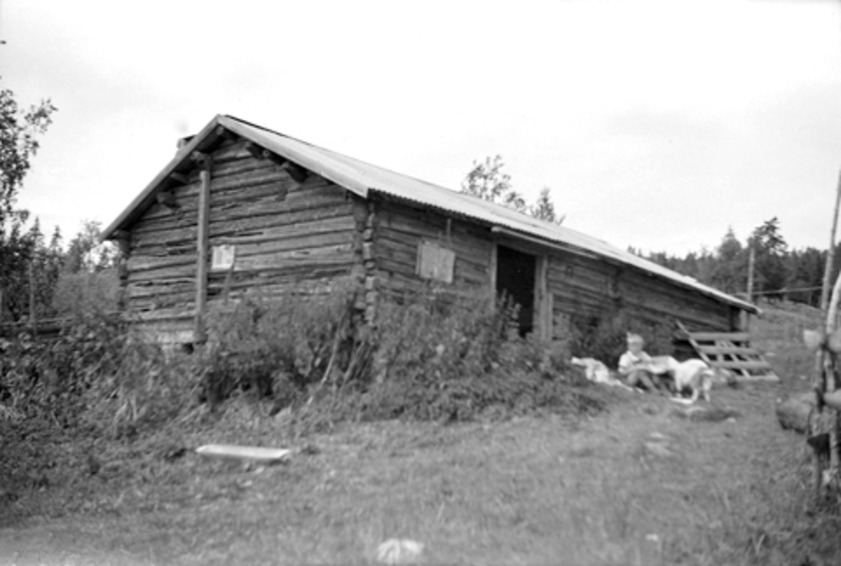 Toralv Bleken-Nilssen, GITVOLA, STØRHUS, STOR-RØMMA, Løten alm. 1946.