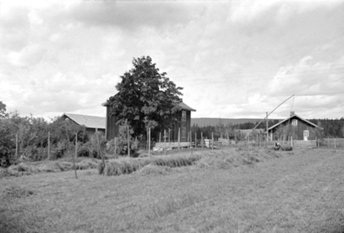 Anno Domkirkeodden, HOKSET GARD I VANG, Hamar kommune, SLÅTTONN, VIPPEBRØNN, G. NR. 59-
