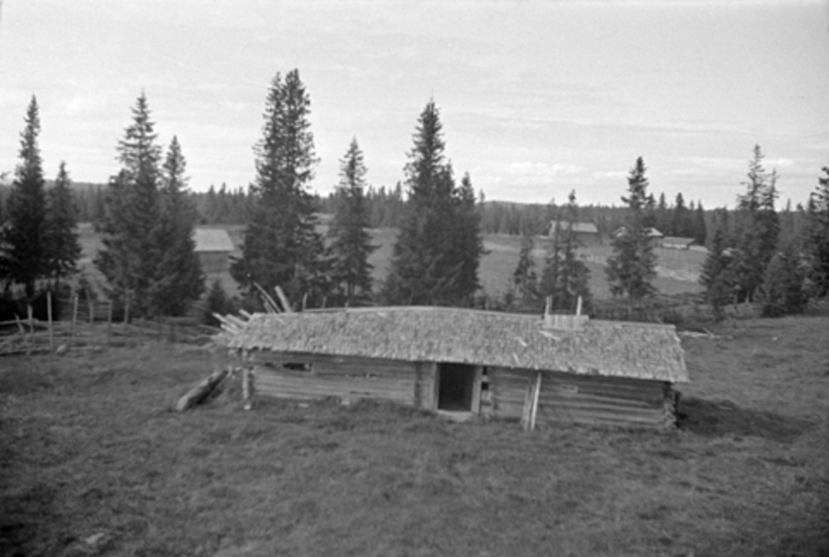 Toralv Bleken-Nilssen, GAUTSETRA I FURNES ALMENNING, Ringsaker.