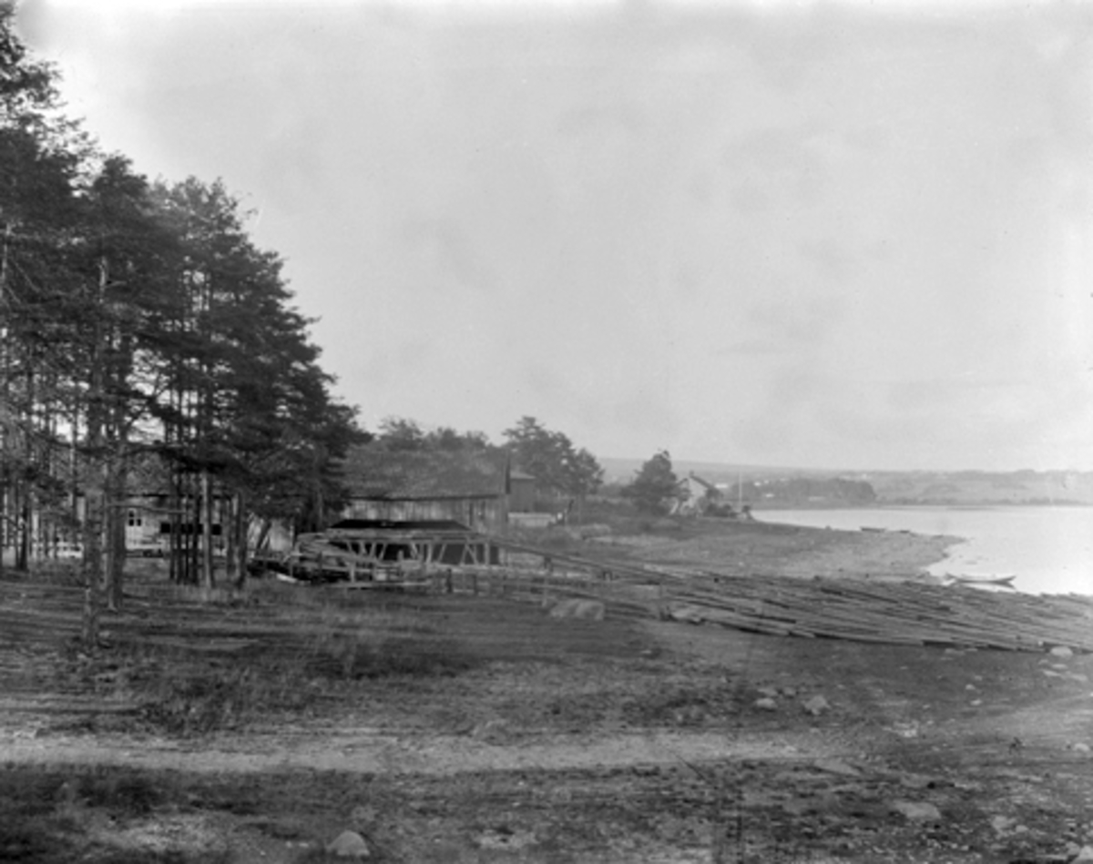 Anno Domkirkeodden, STRANDPARTI VED HAMAR DAMPSAG, ÅKERSVIKA, TØMMERLAGER.