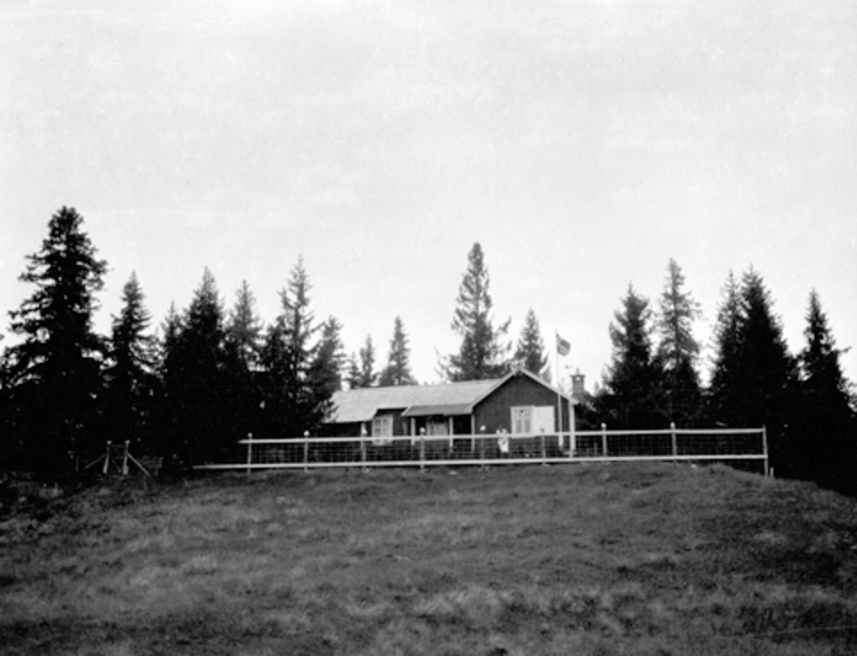 Anno Domkirkeodden, HYTTA TIL BJØRNERUD, BJØNNÅSEN i Furnes almenning, Ringsaker.