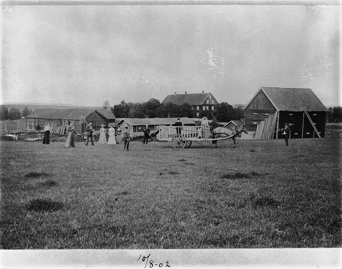 Johan Albert Steen, HØYONNA, MANGE MENNESKER MED RIVE, HEST MED HØYVOGN, 10-8-1902. SVARTJORDSPLØYA, SANDE GARD I ROMEDAL.