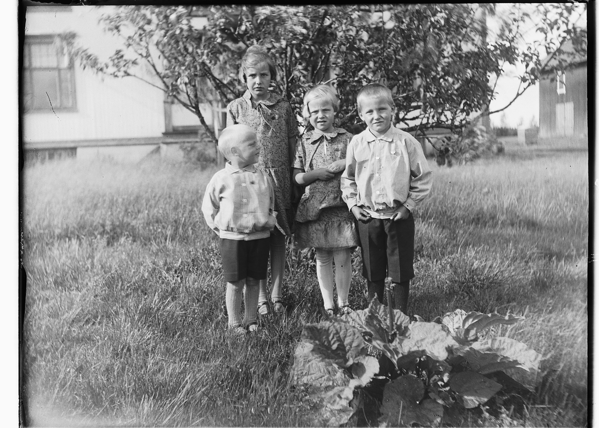 Ole M Martinsen, Fire ukjente barn, i hagen ved rabarbara. Bygninger i bakgrunnen.