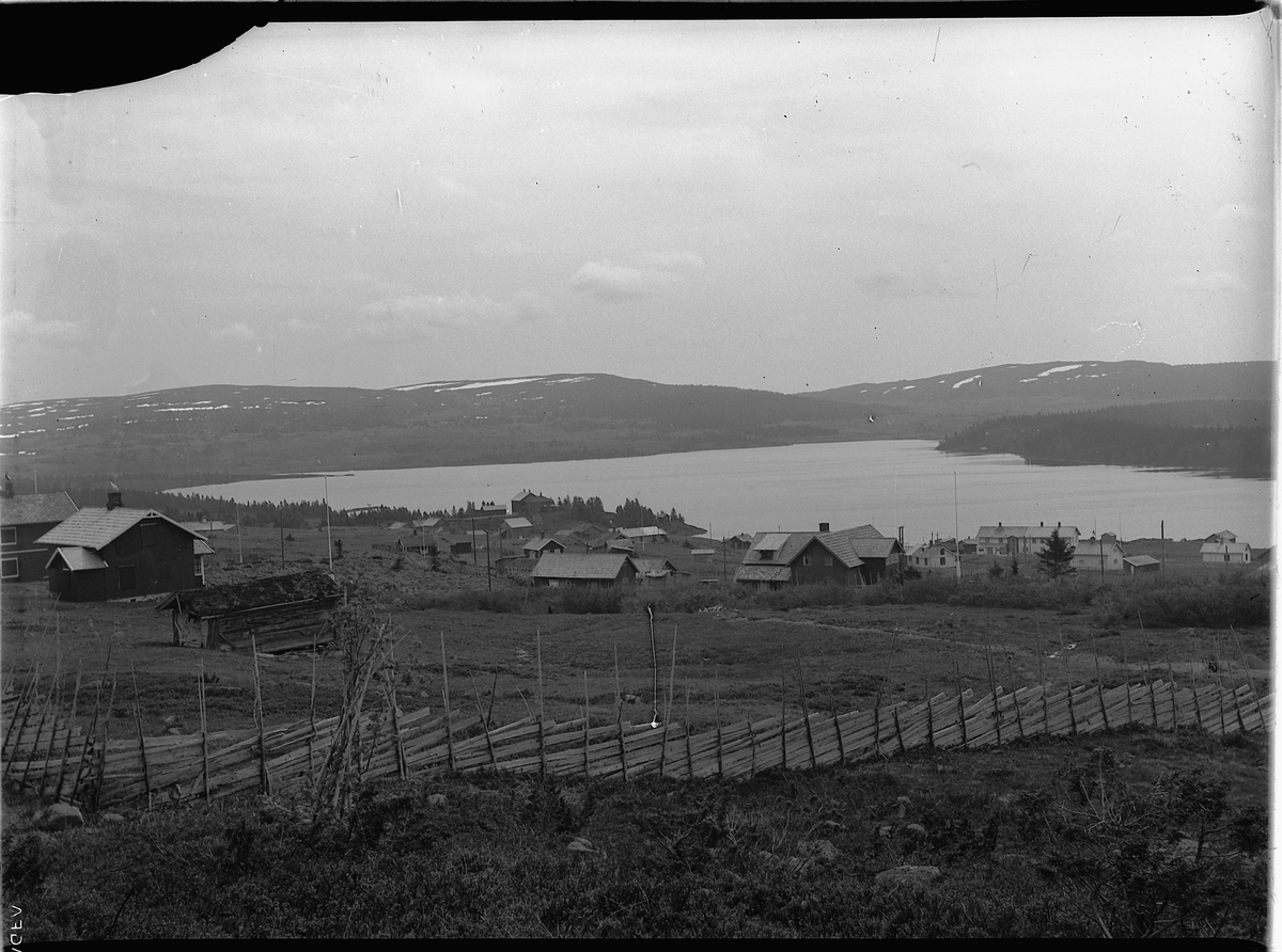 Mikkel Sveinhaug, SJUSJØEN.