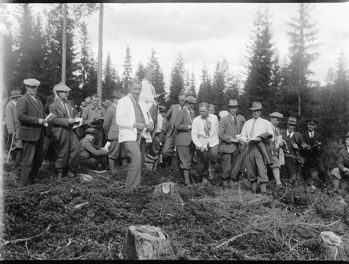 Mikkel Sveinhaug, SKOGBEFARING ?, STOR GRUPPE UKJENTE MENN.
