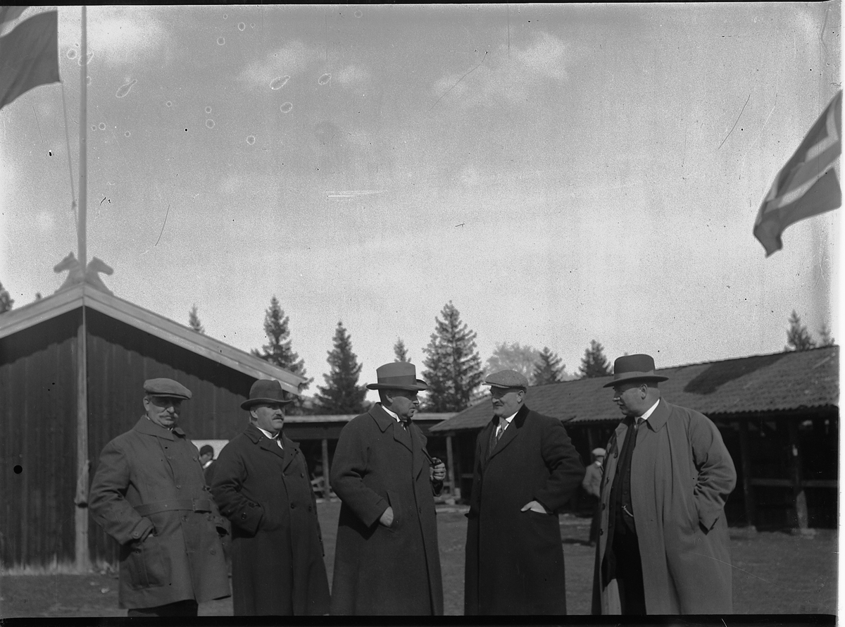 Mikkel Sveinhaug, LILLEHAMMERUTSTILLINGEN, OLE PLATOU, KROGVIG, OLAF NØKLEBY, A. OPSAL OG EINAR NARUD. 1924.