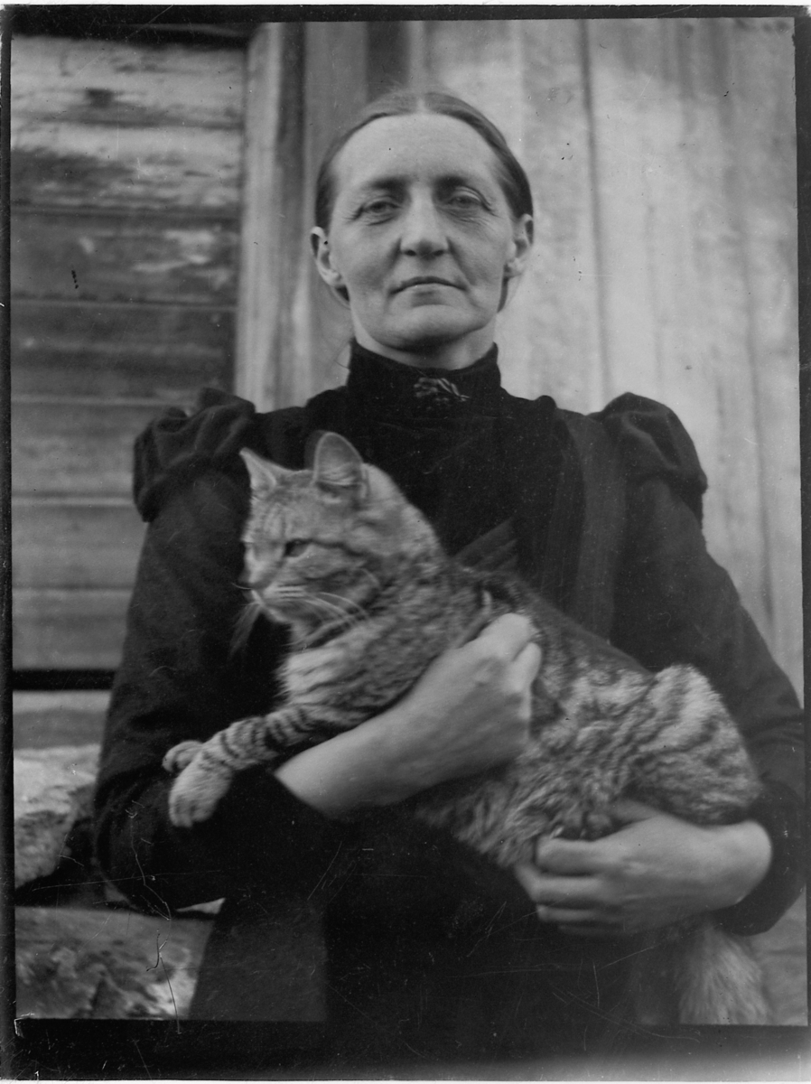 Ole Hansen Løken, HELGA TOKSTAD, KATTE.